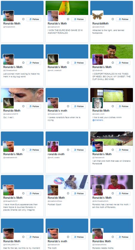 Bild auf Twitter anzeigen