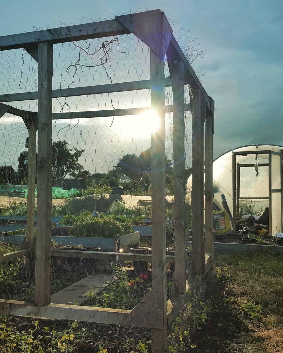 Lovely sun set over kirkstall community garden! Great day picking berries and courgettes #leeds #letsgrow #kirkstall