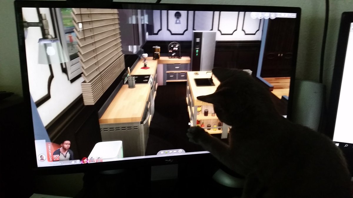 PropersPlace's tweet photo. Recording an @TheSims 4 gameplay and #SnipsProblems kick in... https://t.co/wPRMxUEEbS