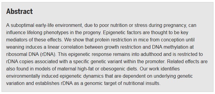 ScienceMagazine's tweet photo. For pregnant mice, changing their diet can lead to epigenetic changes in the womb: ($) https://t.co/OOoeoUPGy8 https://t.co/fAS2rV7tOB