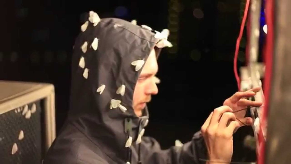 mothssuck tweet picture