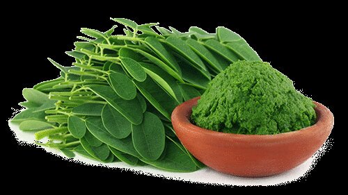 MartheMONTCHO's tweet photo. Le #Moringa  est rich en élément nutritif.Il aid à lutté contr les problèm de malnutrition #Africa  #AskRejeufea https://t.co/Yb92UeDKvg