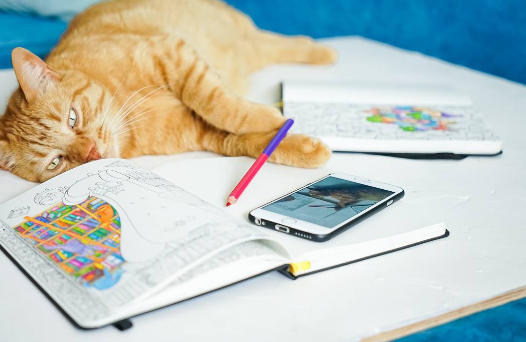 coloring_ntbk's tweet image. This little fellow is helping to color the "cats" page #coloringnotebook #adultcoloring #cats #meow