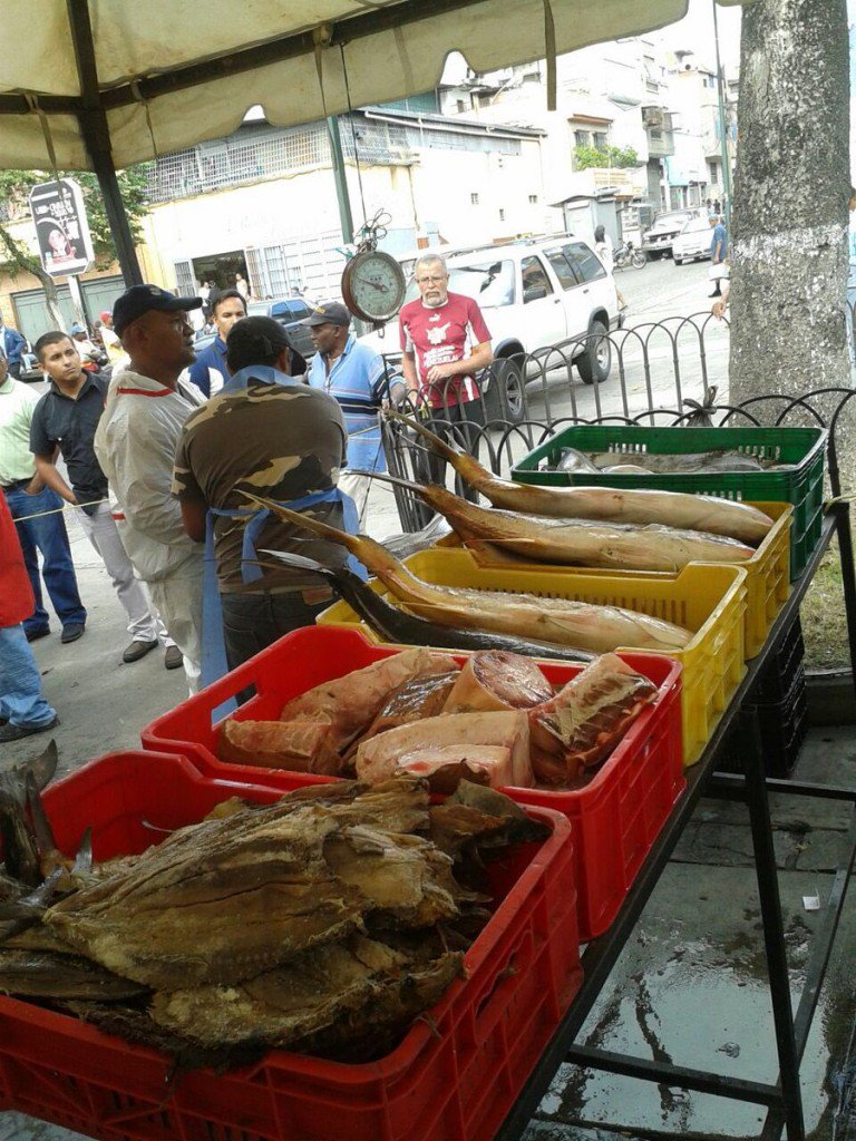 ConElMazoDando's tweet photo. Feria Socialista del Pescado llega este sábado a 15 estados del país - https://t.co/eS2bDqNBNK https://t.co/6TYhiyr7bV