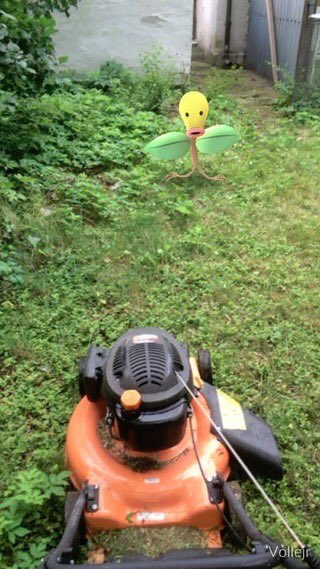 InstinctCV's tweet image. Let's take all the gyms by In n Outs