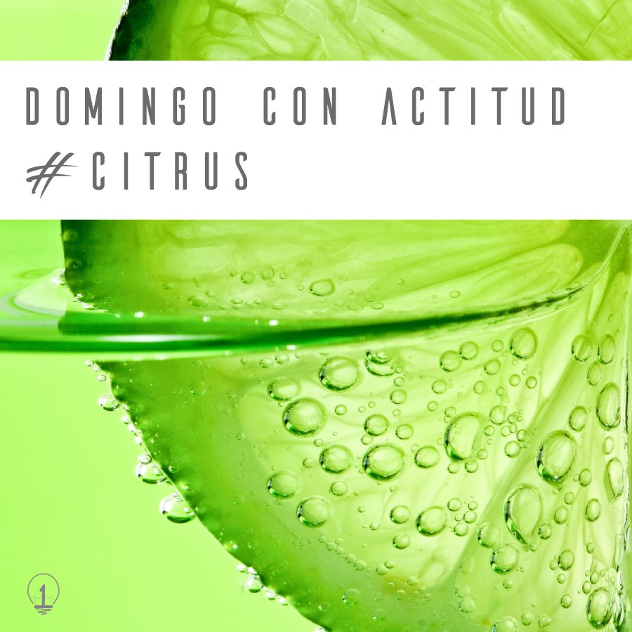 1Optimize's tweet image. ... Que no pase un domingo sin una limonadita bien deliciosa! Feliz día!