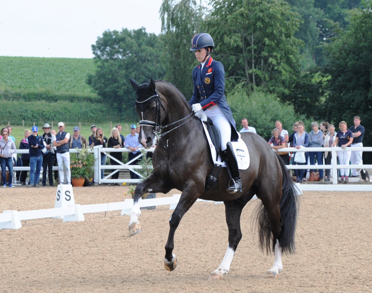 classdressage's tweet photo. Textbook horse! @CSJDujardin showing Valegro's winning form yesterday @HartpuryFOD @TeamGBR @britishdressage https://t.co/3dBIl8OJHi