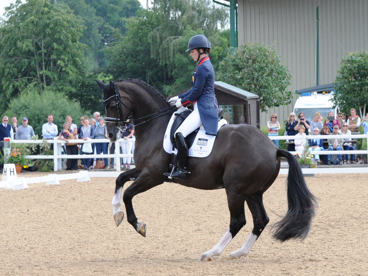 classdressage's tweet photo. Textbook horse! @CSJDujardin showing Valegro's winning form yesterday @HartpuryFOD @TeamGBR @britishdressage https://t.co/3dBIl8OJHi