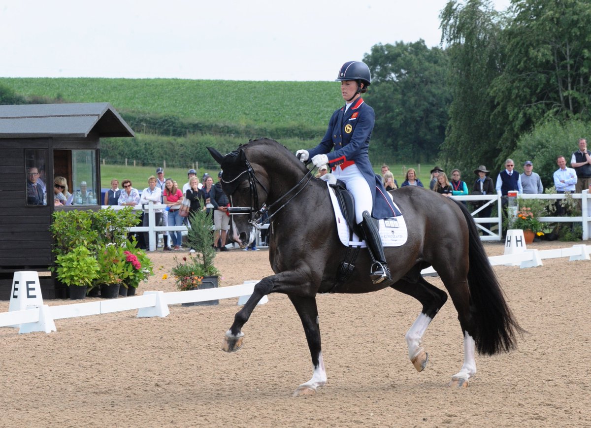 classdressage's tweet photo. Textbook horse! @CSJDujardin showing Valegro's winning form yesterday @HartpuryFOD @TeamGBR @britishdressage https://t.co/3dBIl8OJHi