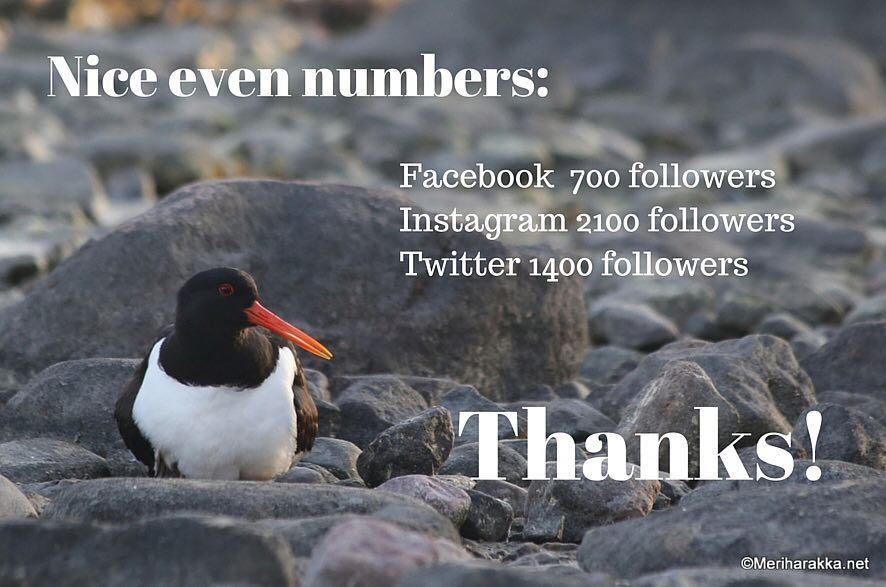 Meriharakka1's tweet photo. Thank you! #thankyou #thanks #instagram #facebook #twitter #followers #travelblog #matkabl… https://t.co/hScXNWj4ga https://t.co/yLV7mrv2kd