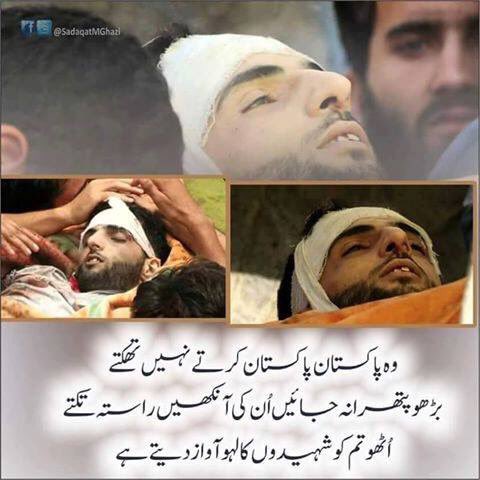 egr_umar's tweet photo. #StopIndianDogs https://t.co/AmZaCk1K50