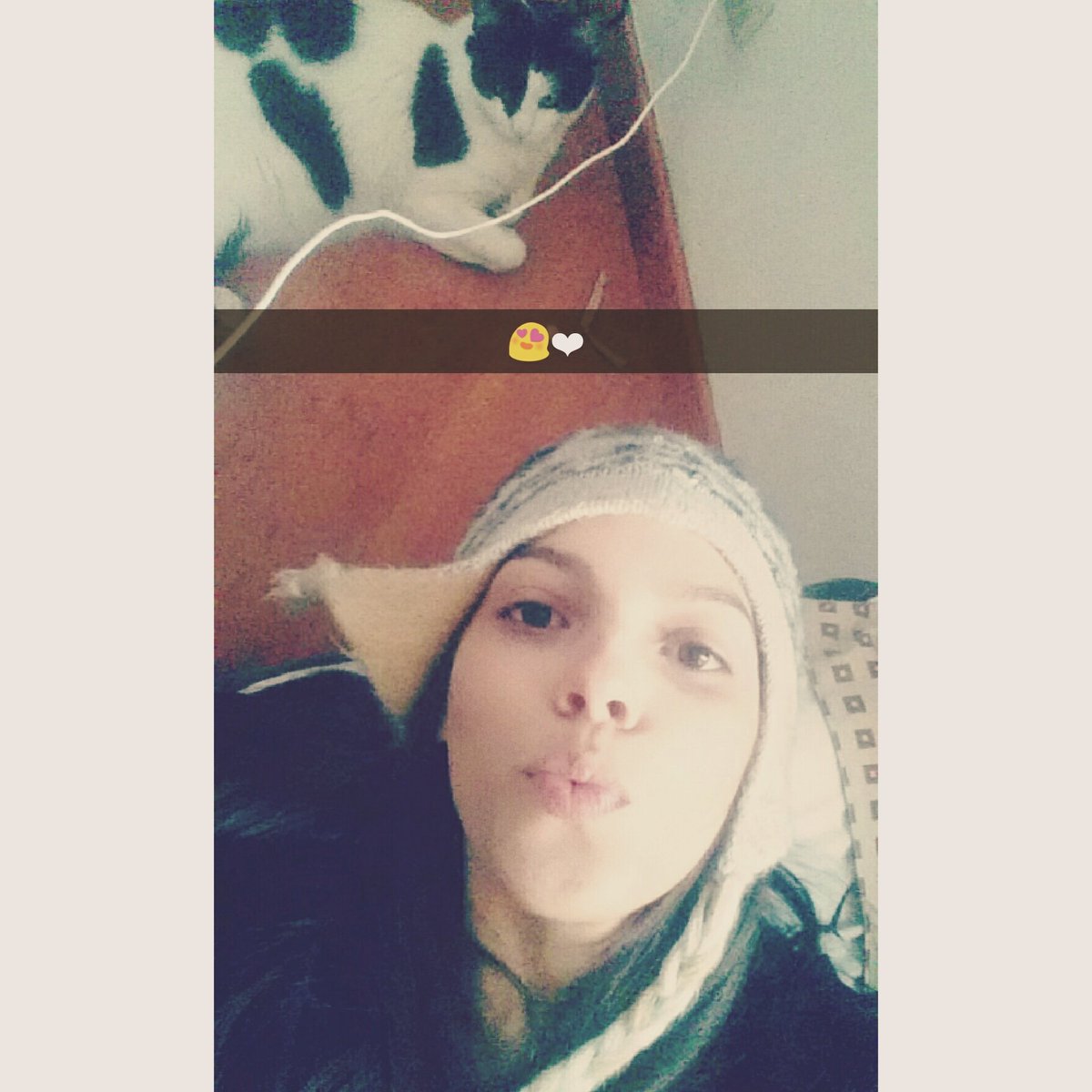 LuiisaBotero's tweet photo. Gatu lindo💙 https://t.co/uSQYkMOrRW