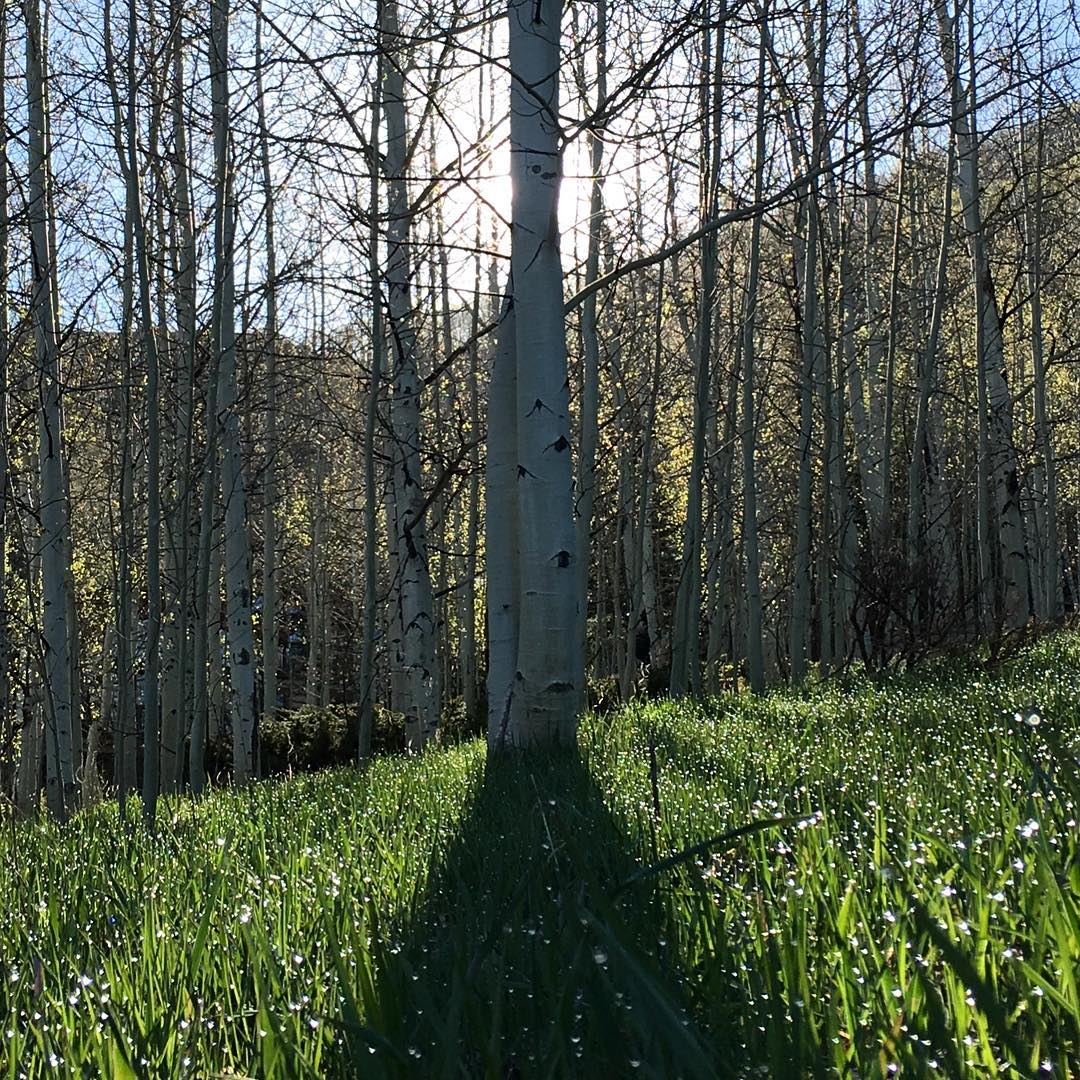 gymfinite's tweet photo. This was skiable a month ago sniff sniff 

#healthysports #nature #climate https://t.co/4BBp8Bv7rJ