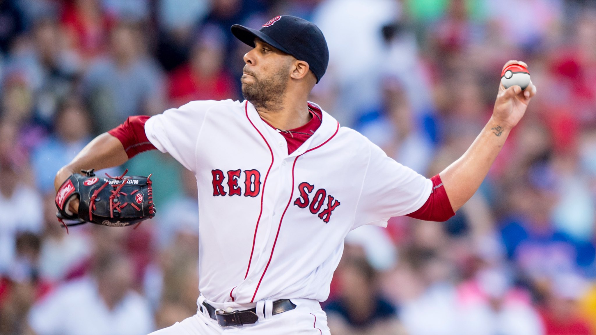 About - Poke Sox