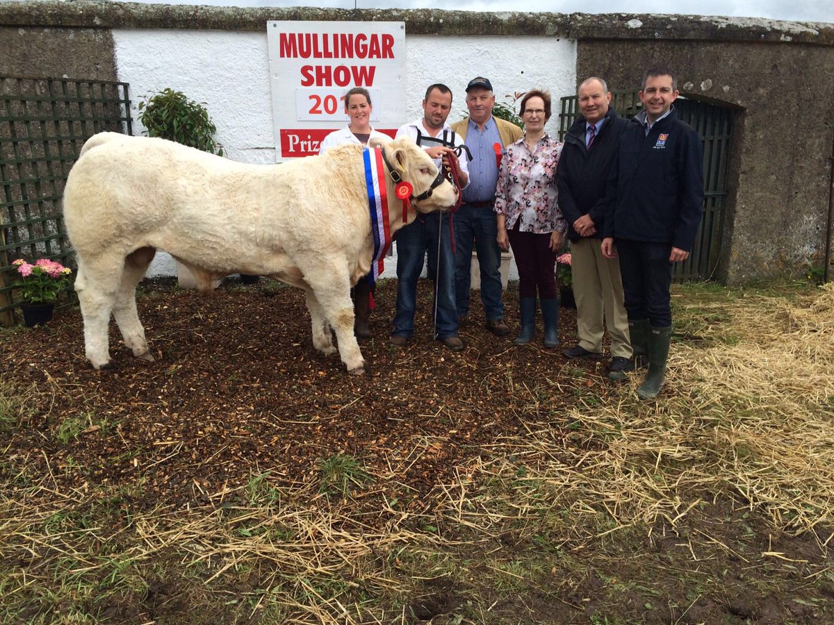 Congrats to John Barry Moran overall winner of Charolais Section Sponsored <a href="/AIBBiz/">AIB Business</a> <a href="/irishcharolais/">Charolais</a> <a href="/tullamoreshow/">Tullamore Show</a>