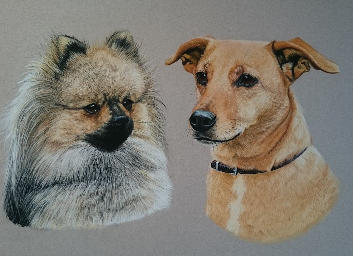 artistlindsay's tweet image. Finished and ready to be framed. @DaleyFish @BenMaher1 @EquineHour @EquineArtHour