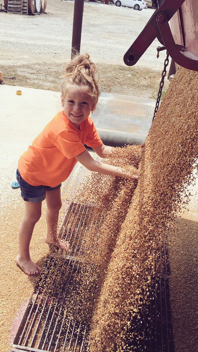 NatalieKutz's tweet photo. This little girl is helping today! https://t.co/PscL0PLGJT