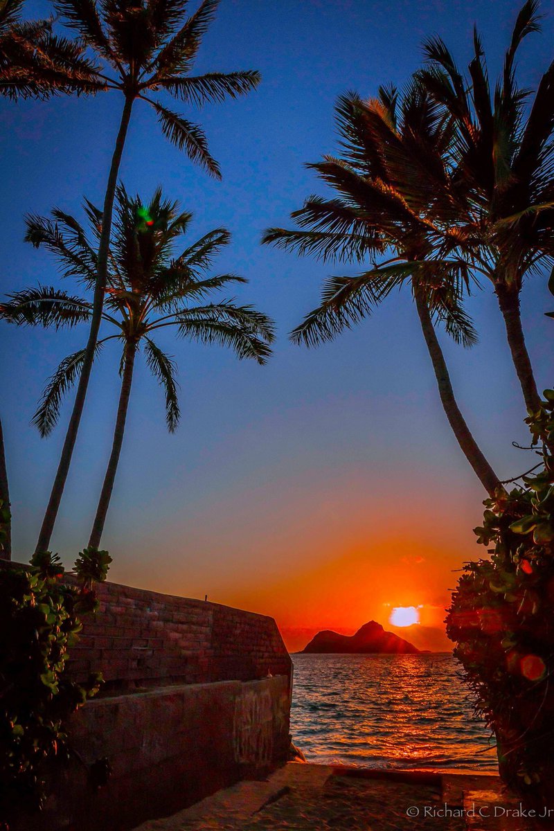 OhanaSurfPro's tweet photo. GM Friends 📷Photo: #RichardDrake @Js001S @chyvo1 @Gifn4wrd @surf_and_sun @surfinchef61 @DerickPauls @Lizbethfeelings https://t.co/NoxjP35rsi
