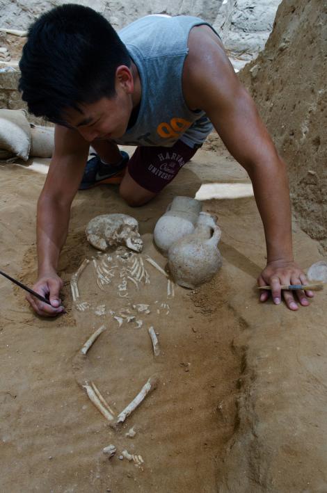 Bild auf Twitter anzeigen