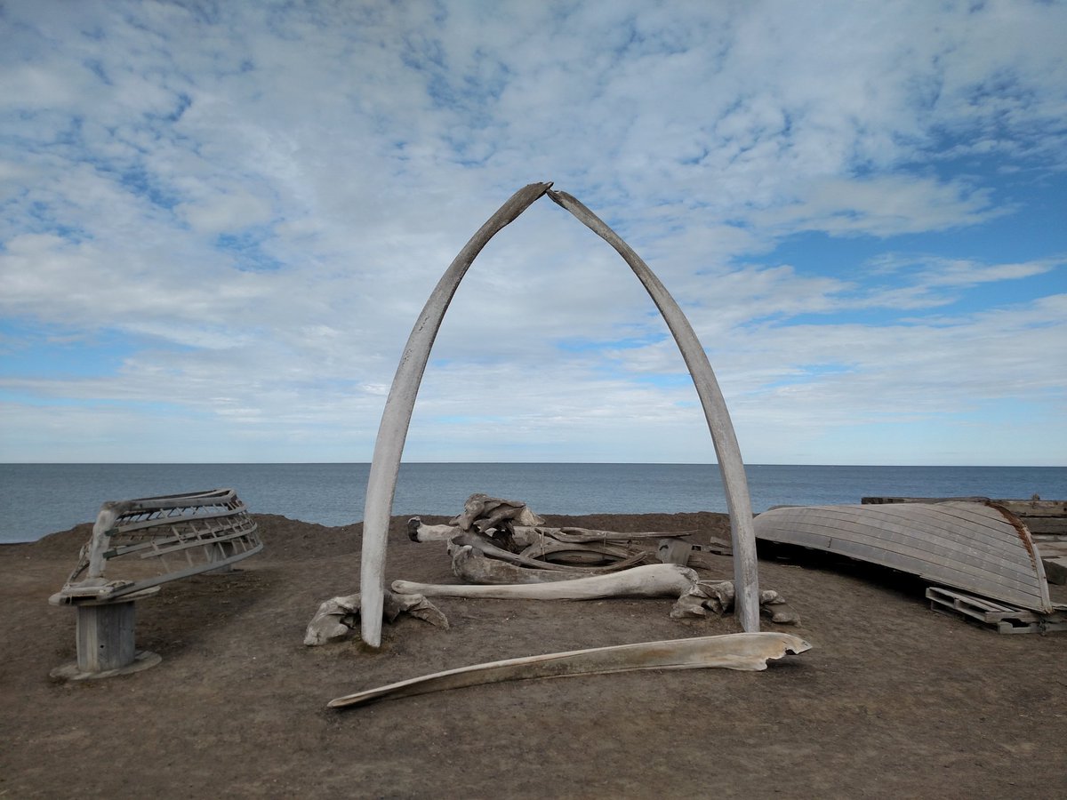 NWTravelMag's tweet photo. A beautiful July day at the Arctic Ocean in #BarrowAK with @JohnHallsAlaska https://t.co/iPxdovyWqr