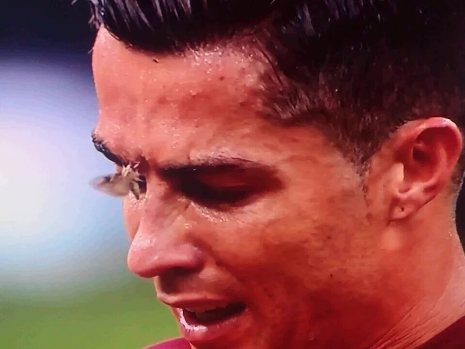 adripo_'s tweet photo. ¡Ay mi madre el bicho! https://t.co/ywGQL4wc5d