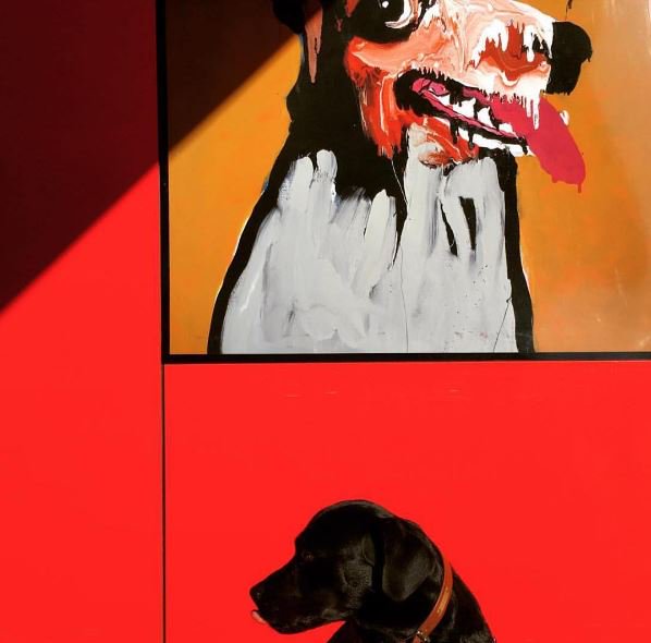 The ultimate pooch-off at #TheCullen 📷 @romypupperoni