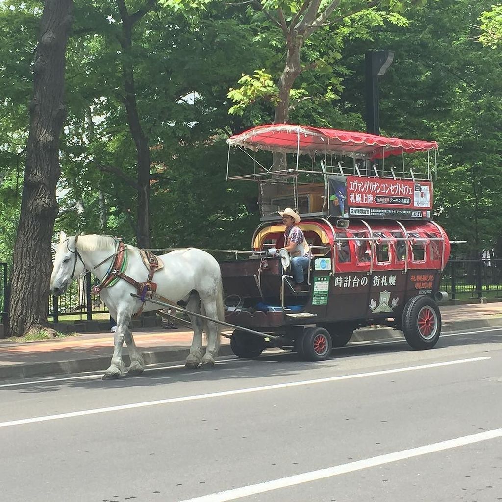 近畿日本ツーリスト北海道 公式 Sur Twitter 札幌市街地で幌馬車が闊歩しているのご存知ですか 札幌幌馬車 銀太くん 乗車できます 札幌 大通公園 T Co 8jsc60sza6