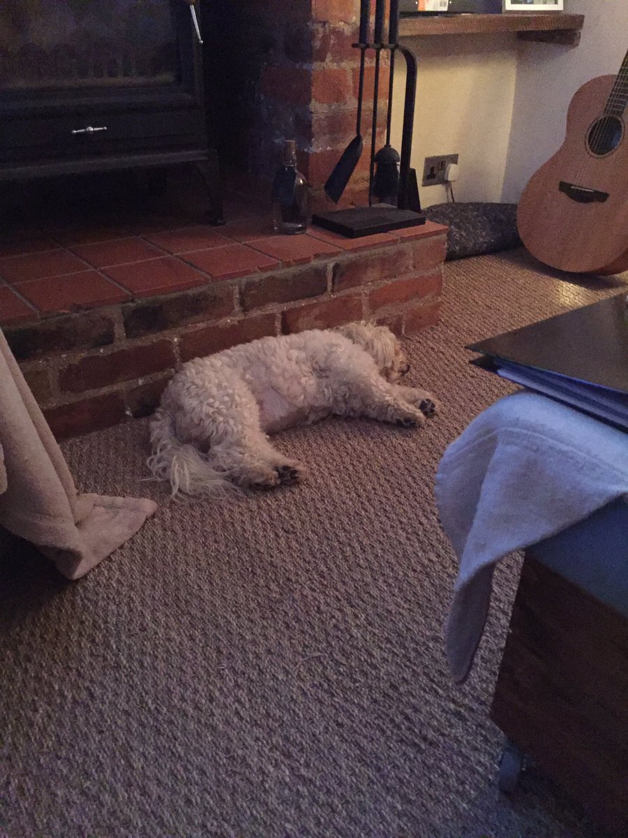 PinkDarcyDog's tweet photo. Tension rises as we approach full time in the finals #comeonfrance https://t.co/Ao5FdtYV6G