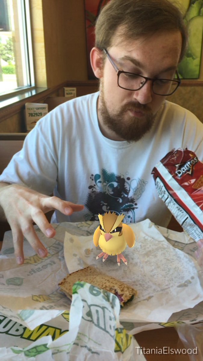 DaernInProgress's tweet photo. Stinkin' Pidgeys keep trying to steal our food! #PokemonGO #pokemongowalk #pokemon https://t.co/4jr0lB4Yrl