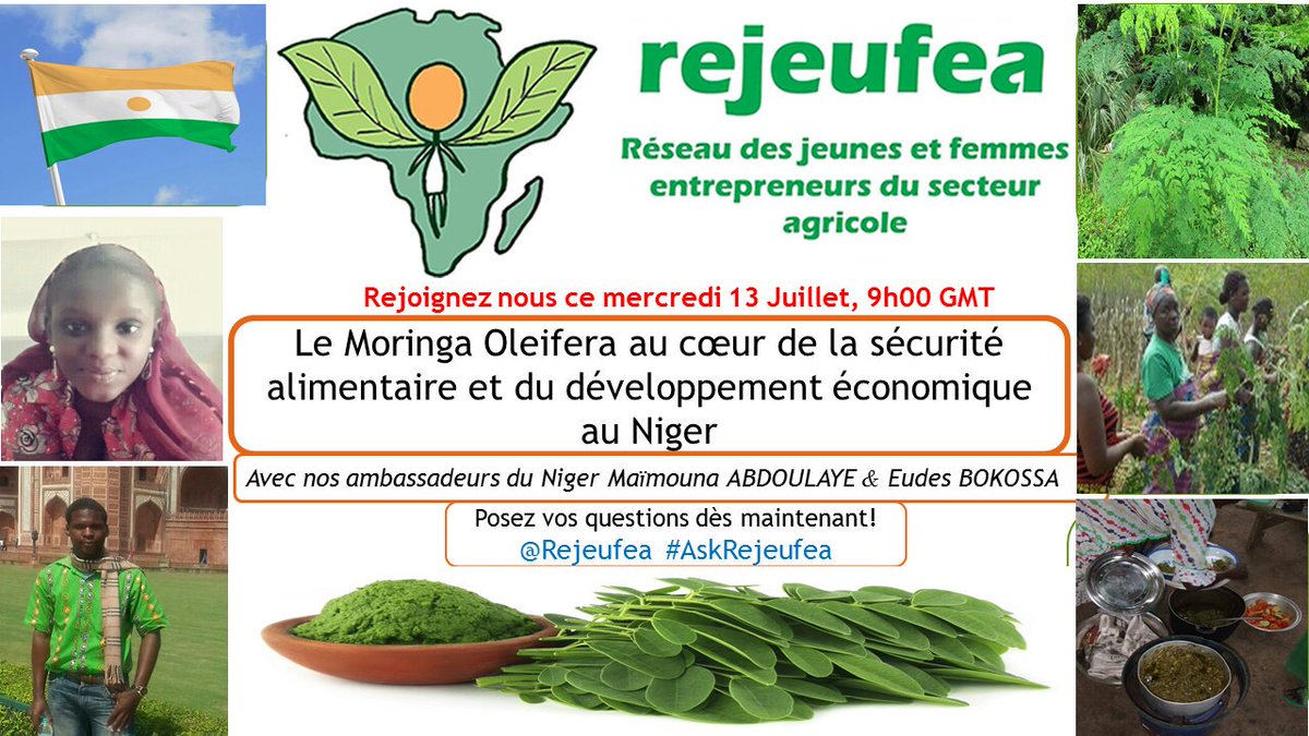 MartheMONTCHO's tweet photo. Les femm st les principal actrices de la filièr #Moringa #foodsecurity #empowerment  #AskRejeufea #Africa @Rejeufea https://t.co/a25KaDLV77