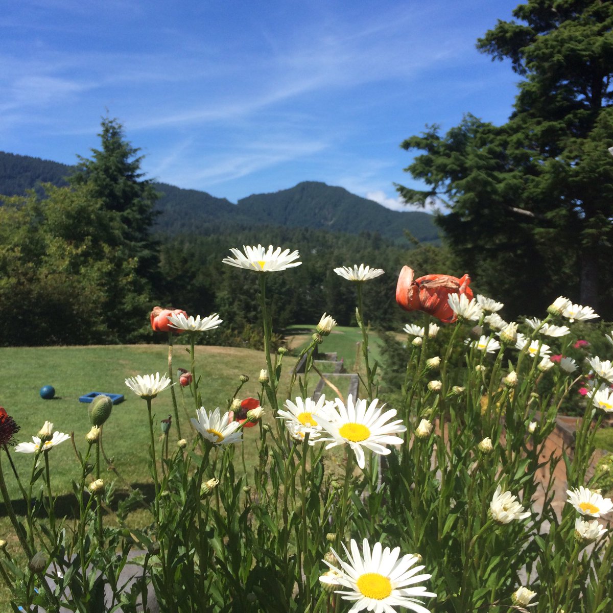 manzanitagolf16's tweet photo. What are you waiting for.....?#golfmanzanita https://t.co/HiV0PiiAcB