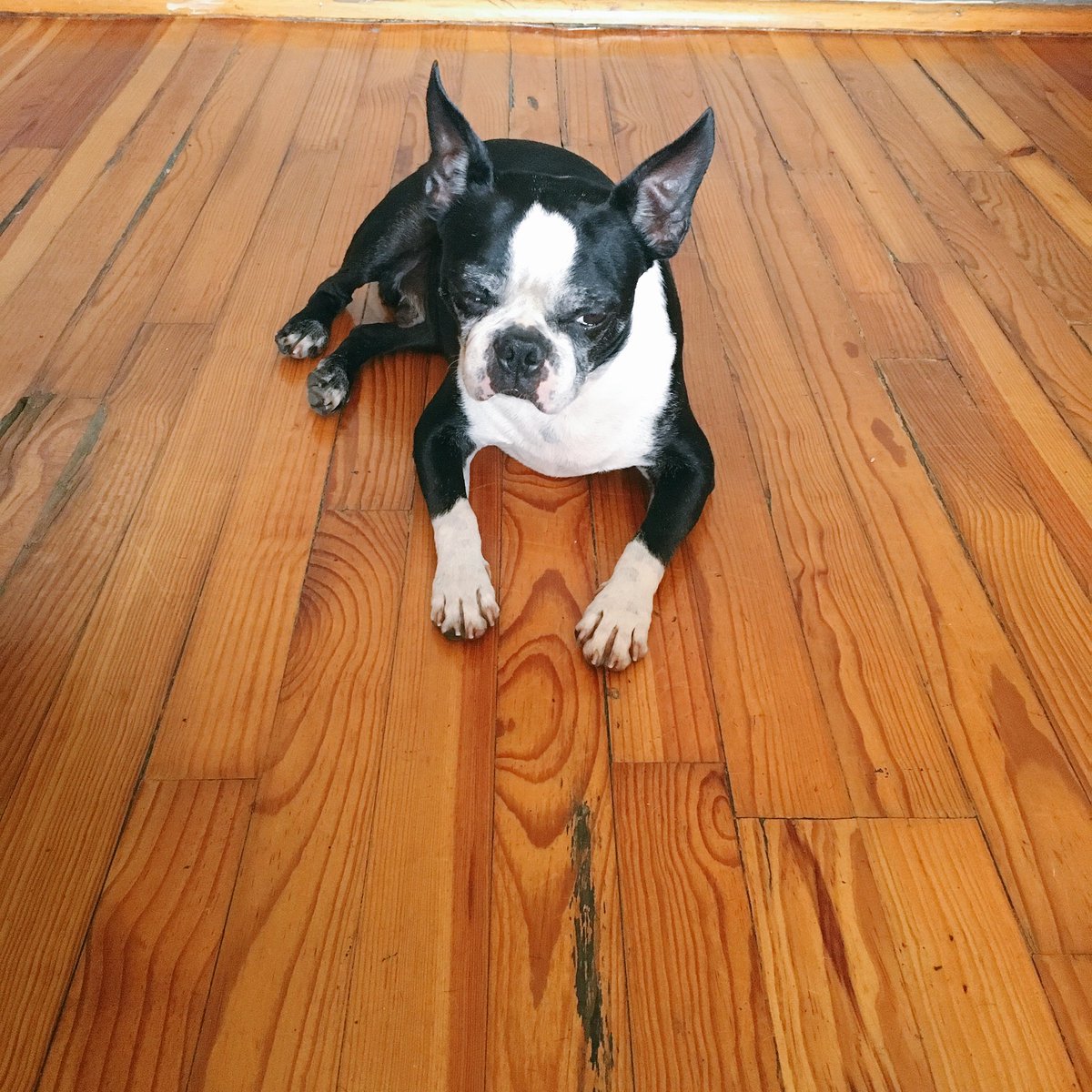 Es neeeeeta? 
Relajate.... Es domingo