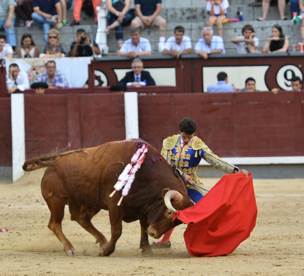 VÍDEO de la tarde venteña de prometedora novillada de Carriquiri cultoro.com/festejos/2016/…