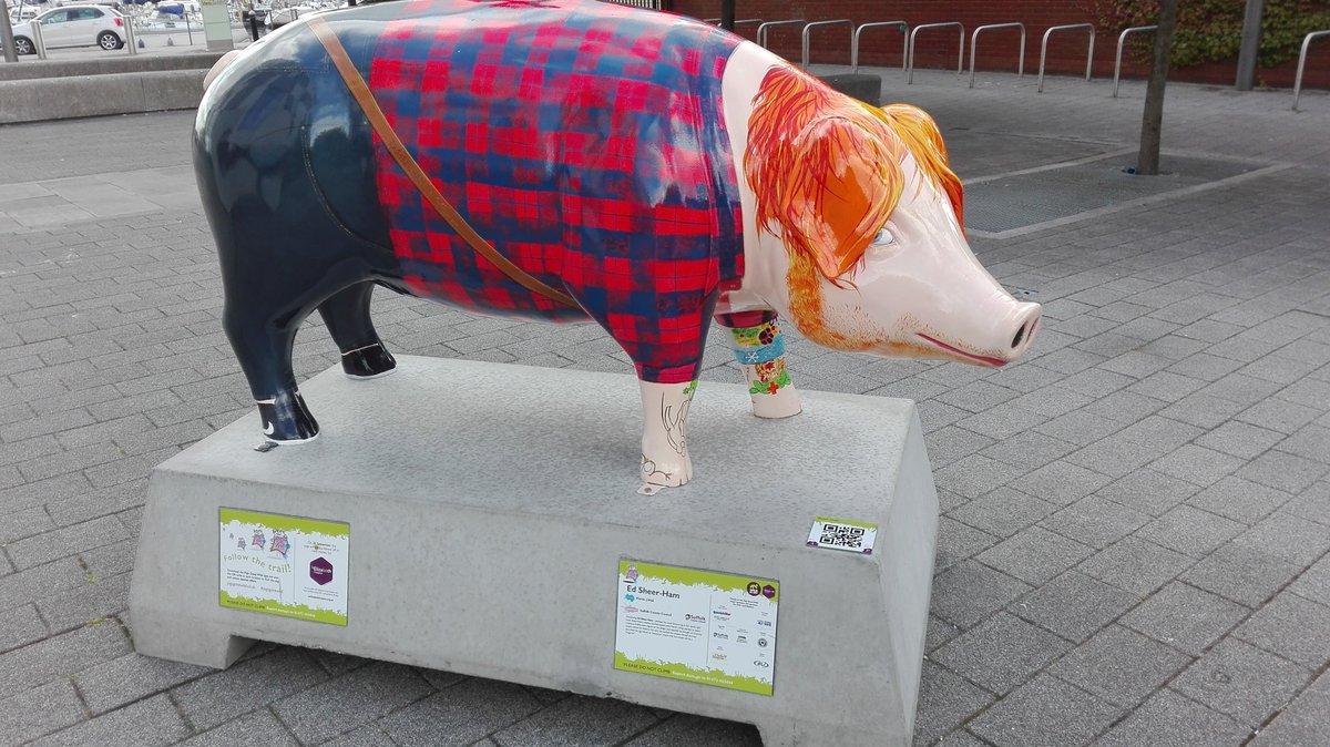 ZoeAmandajane's tweet photo. Finally met @Ed_Sheerham #pigsgonewild #Ipswich https://t.co/xwdW77QBXb