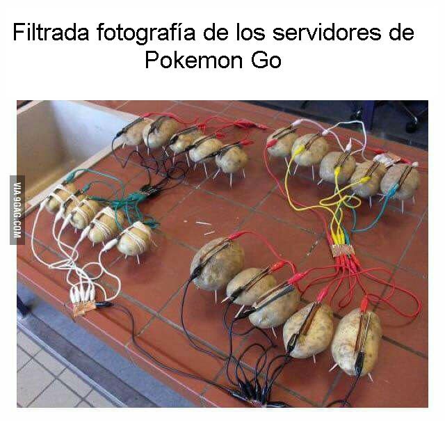 PokemonGoCat's tweet photo. No hace falta decir nada más. #PokemonGo #PokemonGoCat https://t.co/FIIzPnsxrY