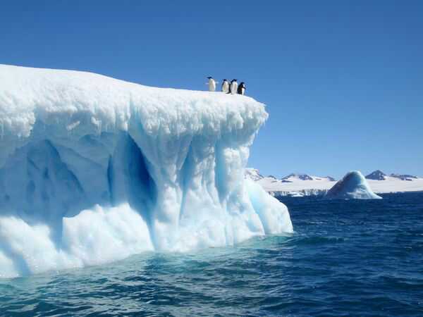 SchadAndrea's tweet photo. @gerfingerpoken2 @IBDeditorials  #lyincrookedhillary Drop her &amp; Huma on Antarctic; let them wait 13 hrs for help. https://t.co/S2emtiLNAh