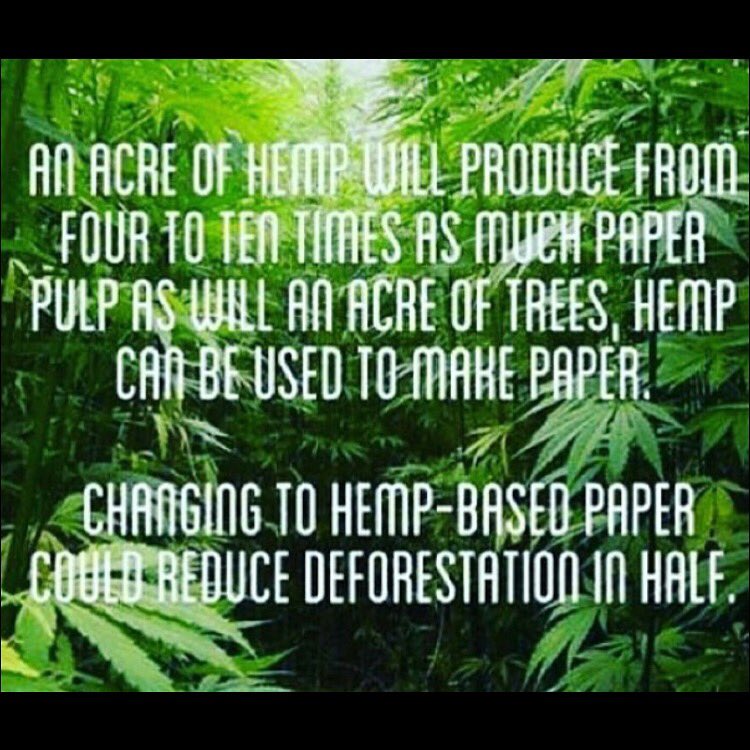 DenalisCache's tweet photo. Did you know? #reversethestigma #denaliscache #miracleplant #justsayknow πππ https://t.co/GYwQ4CBXx4