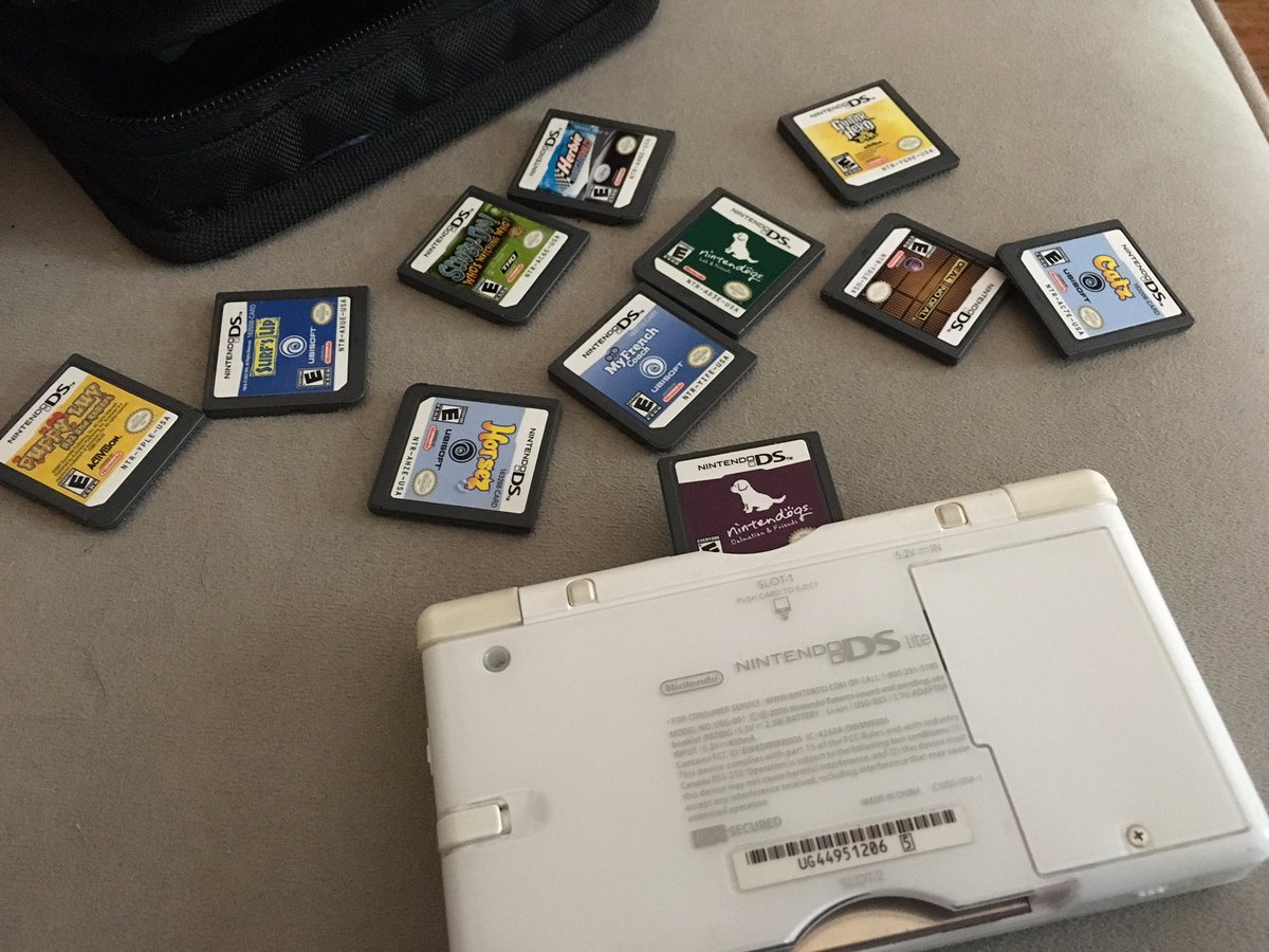 ktbrode's tweet photo. Just found this. RIP to all the nintendogs who haven't been fed since 2007 https://t.co/h0KuwSFL1Q
