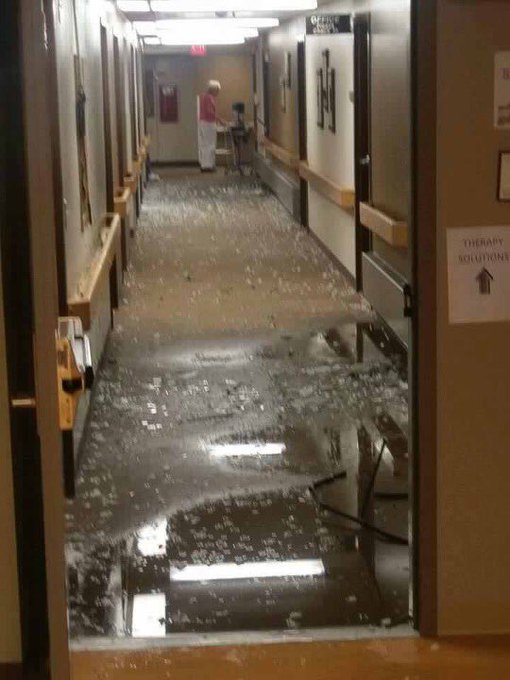 View image on Twitter