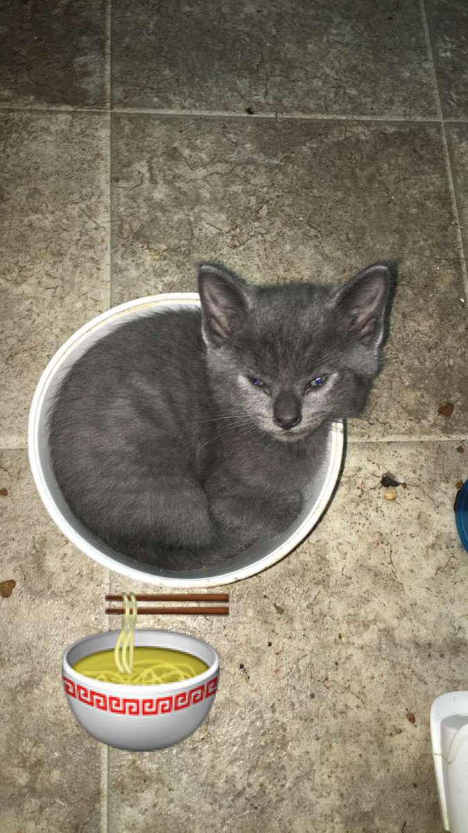 Missin my lil cup o ramen🌚🍜💕