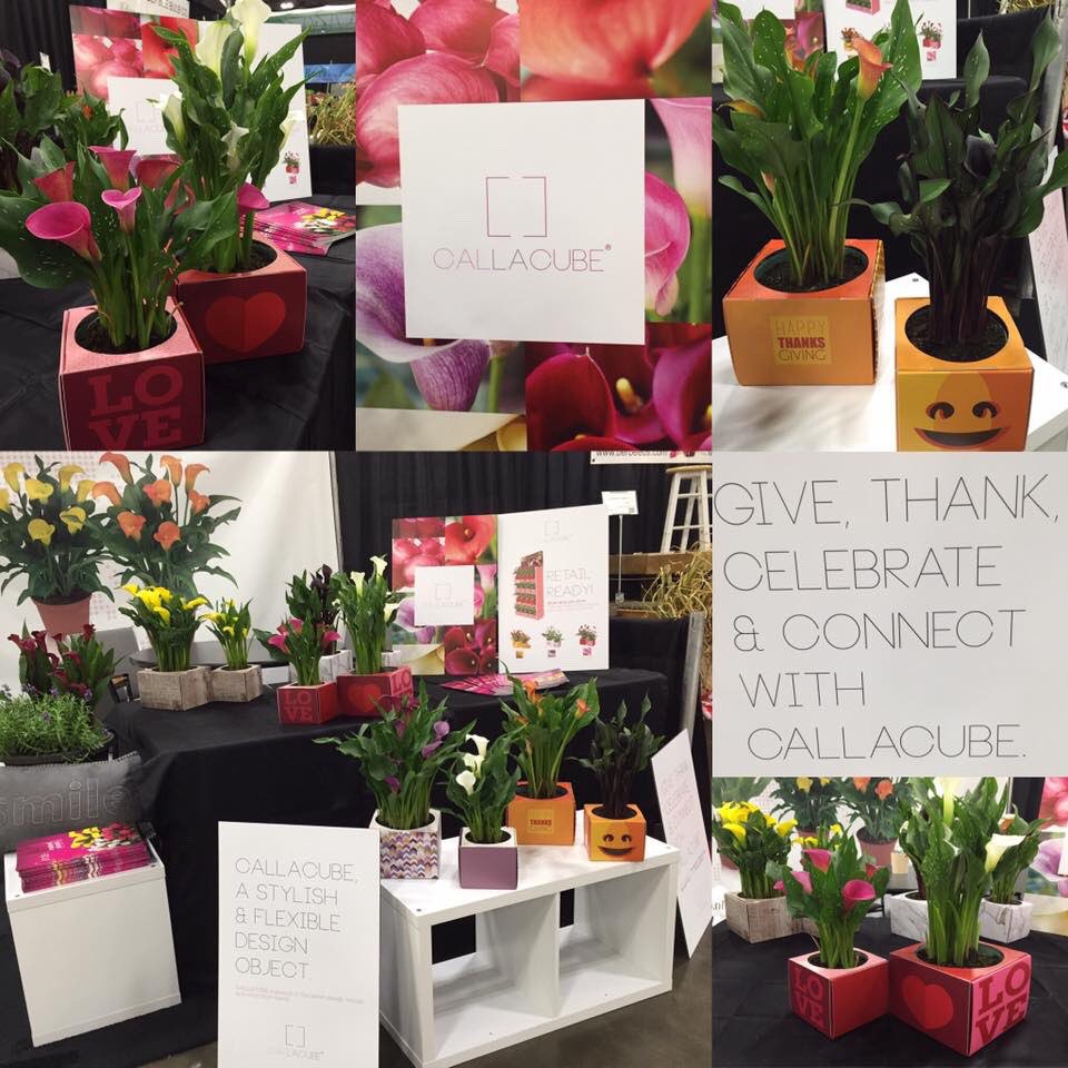 New! A ready to use and ready to give calla package. Exclusive &amp; sustainable:The CallaCube™
Now in Ohio @ booth 1134