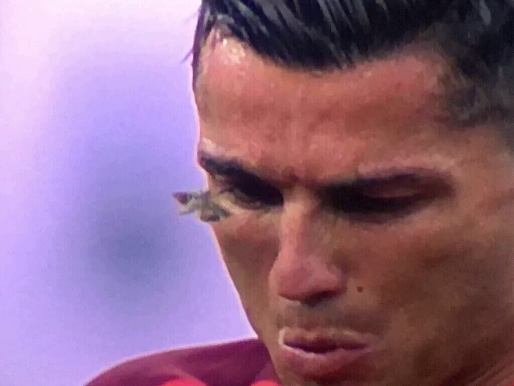 Alex_LeLyonnais's tweet photo. *Un CR7 sauvage apparaît*
-PAPILUSION À L'ATTAAAQUE!! ATTAQUE PARA-SPORE!!" 
*Le CR7 est paralysé*
#FRAPOR https://t.co/ecp68mtg2j