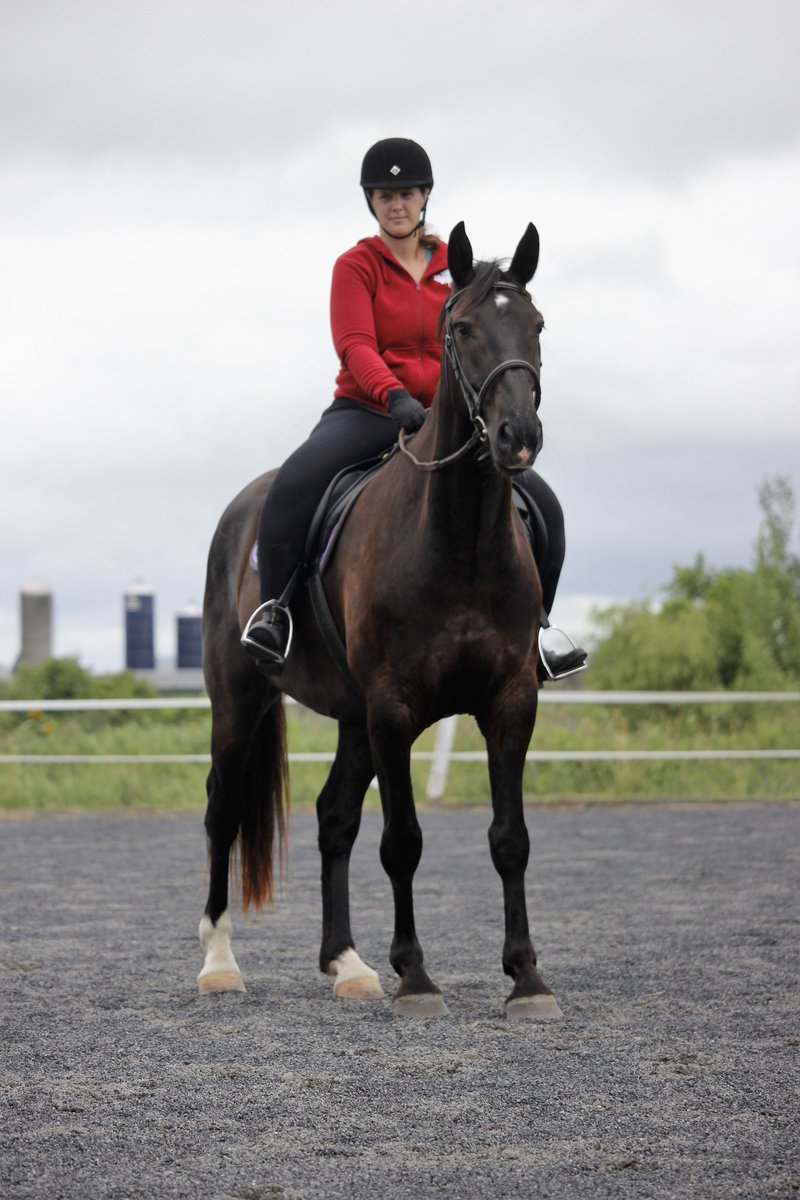 Alexa Cheater tweet media