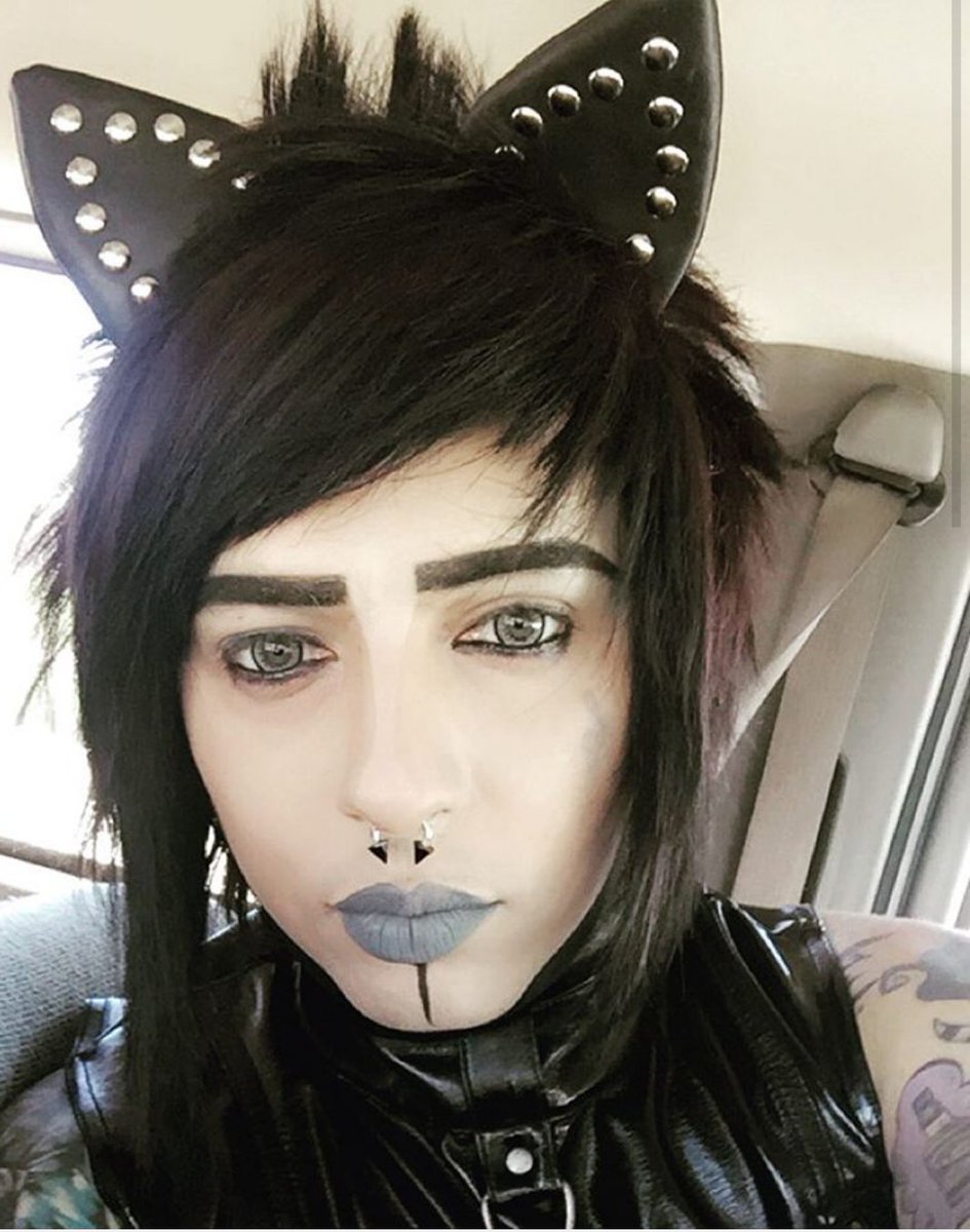 Dahvie_Bot's tweet photo. More kitty Dahvs  https://t.co/jgbBQeUaVm