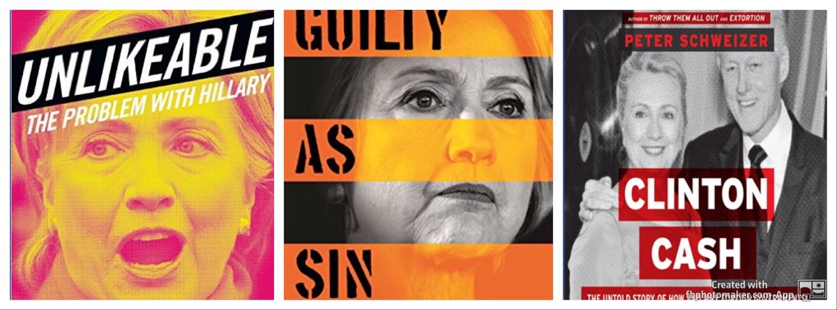 TrumpBrosUSA's tweet photo. Summer Reading. #CrookedHillary #ImWithHer #Hillary2016 #ClintonCash #ClintonCult #DestroyHillary #Trump2016 https://t.co/mp5CMwr8uI
