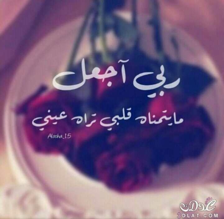 Nabeel Abdelih (@nabdelih) on Twitter photo 