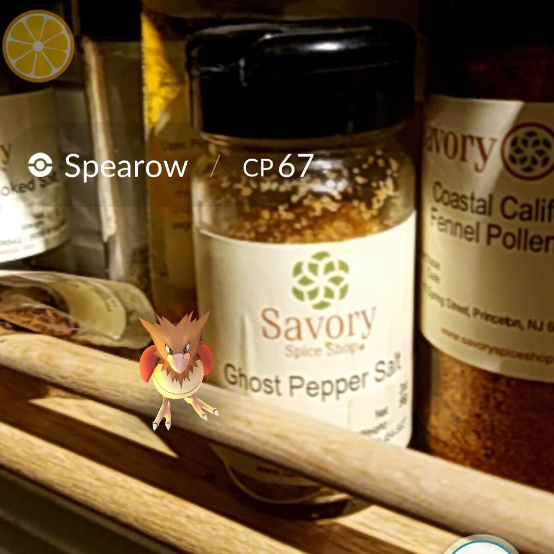 myhubs_souschef's tweet photo. Gotta catch 'em all! #pokemongo #savoryprinceton #ghostsalt https://t.co/hlkXmw0tvy