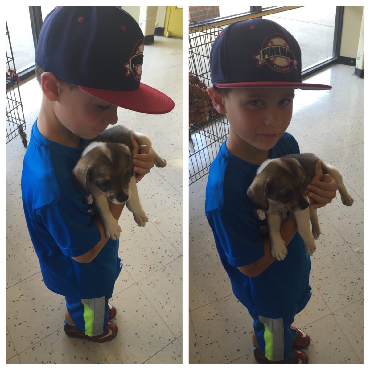 Bryant Raabe tweet media