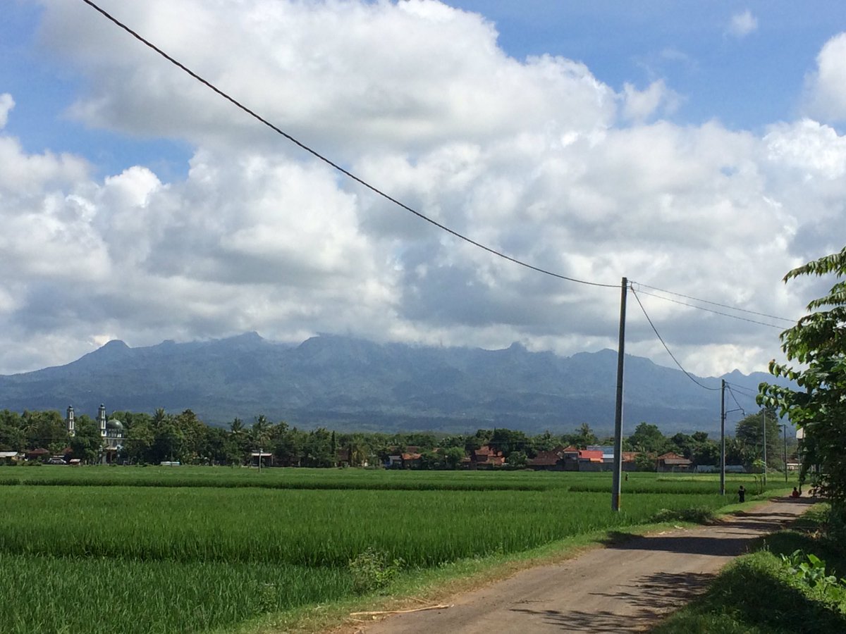 Savic Ali Ar Twitter Njagong Di Pinggir Sawah Dg Pemandangan