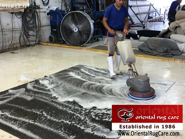 JodiFPoore's tweet photo. #AreaRugCleanersCoralGables #RugCleaningMiami  #RugCleanersMiamiSprings  #ProfessionalRugCleaningJupiter https://t.co/DPeI3UWRxP
